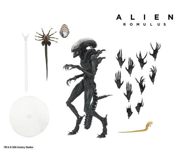 PREVENTA Alien: Romulus Ultimate Scorched Alien Xenomorph NECA (Primer pago/anticipo)