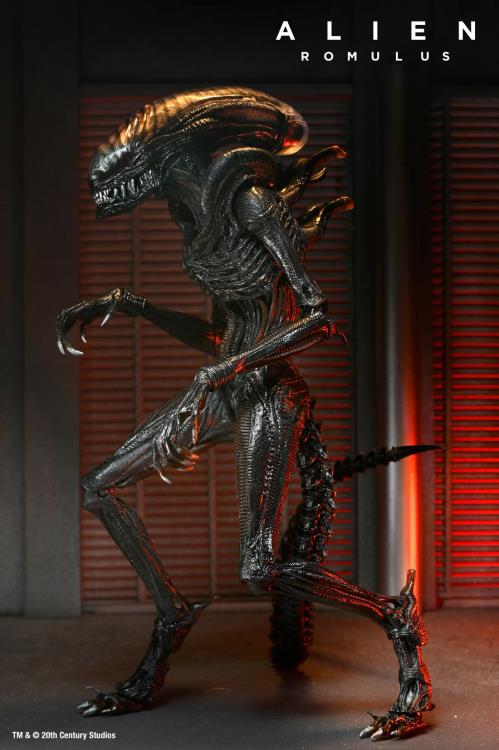 PREVENTA Alien: Romulus Ultimate Scorched Alien Xenomorph NECA (Primer pago/anticipo)