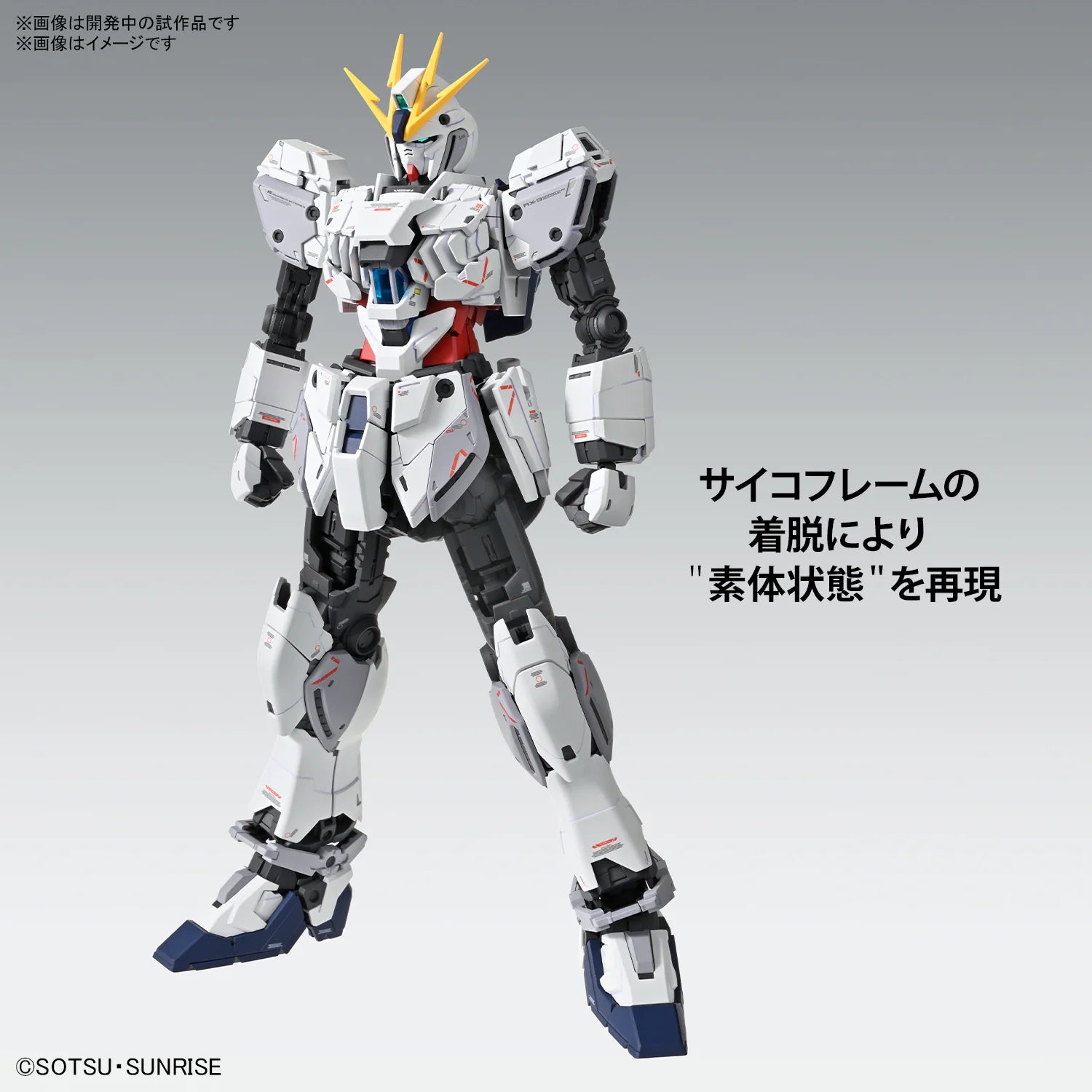 MG 1/100 Narrative Gundam C-Packs Ver.Ka Model Kit Bandai