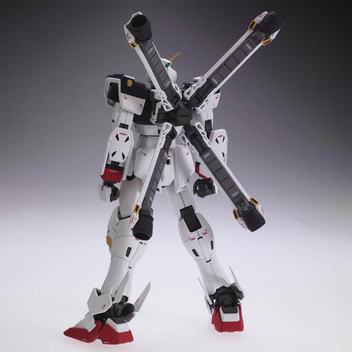 MG 1/100 Mobile Suit Crossbone Gundam X1 Ver.Ka Model Kit Bandai