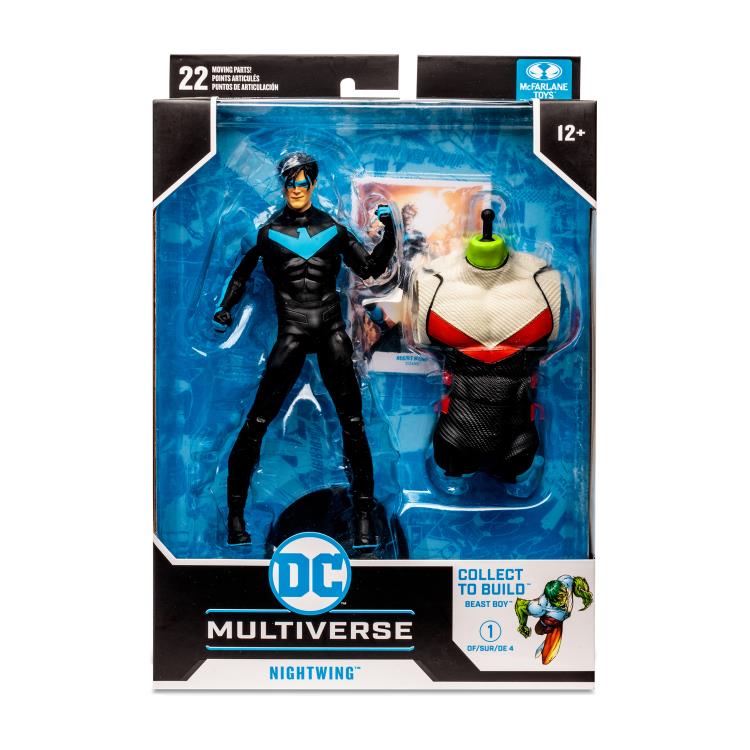 Titans DC Multiverse Nightwing  (Build: Beast Boy)